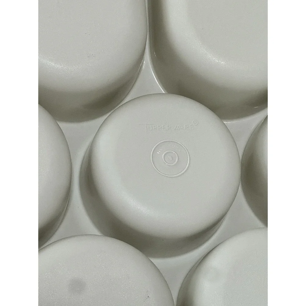 Vintage Divided Tupperware Veggie Fruit Chip Dip Serving Tray With Lid Large 14